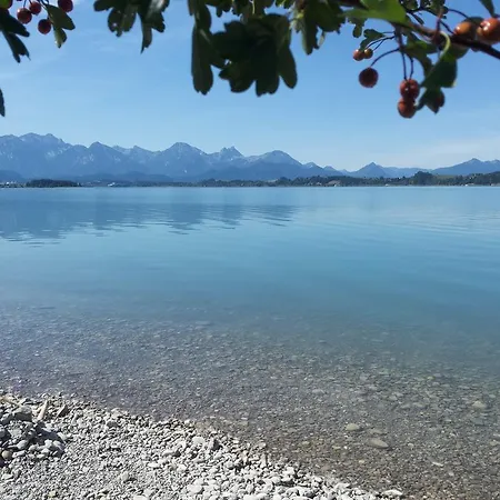 아파트 Haus Baumgartner *