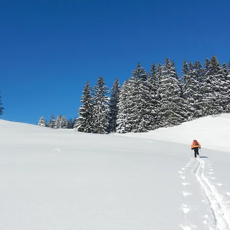 Haus Baumgartner شقة *