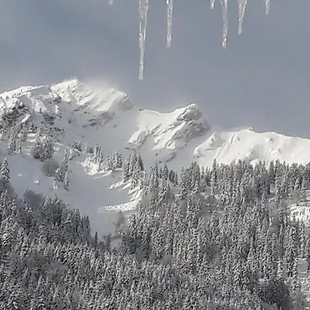 Haus Baumgartner Schattwald