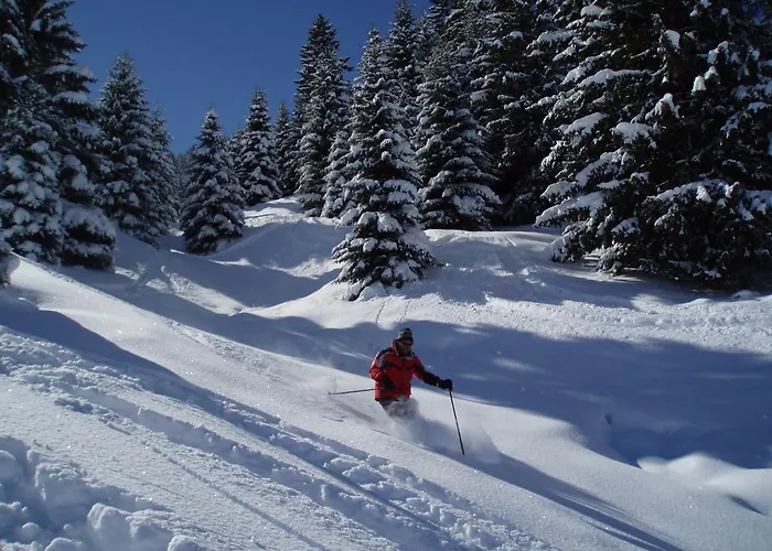 Apartment Haus Baumgartner Schattwald