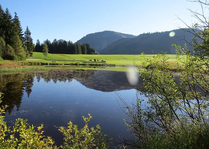 Apartment Haus Baumgartner Schattwald