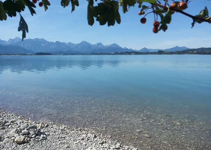 Apartment Haus Baumgartner *