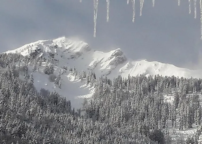 Haus Baumgartner Schattwald