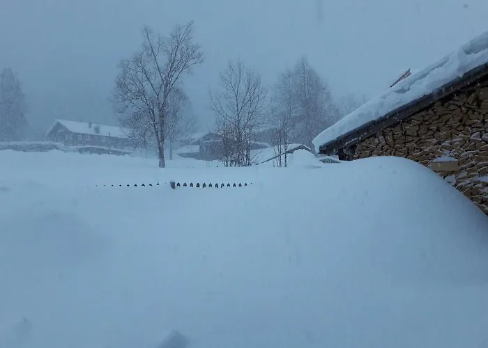 Apartment Haus Baumgartner *