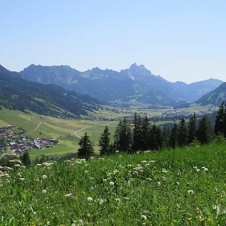 Haus Baumgartner שטוולד