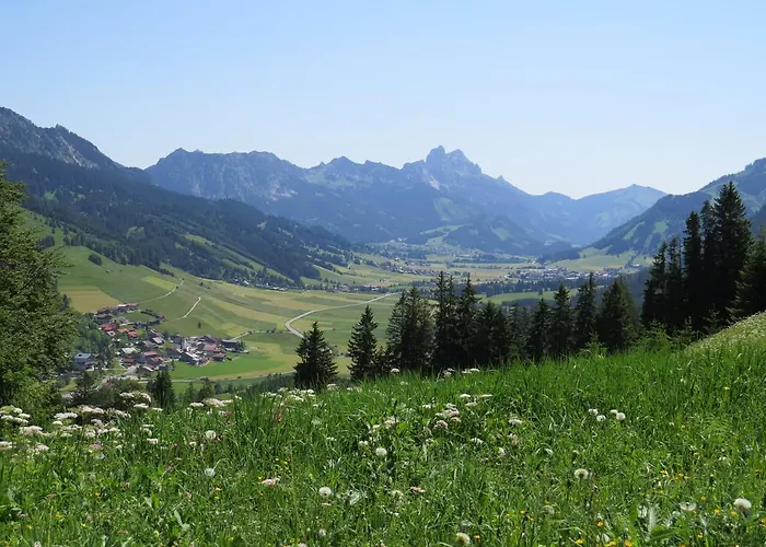 Haus Baumgartner Schattwald