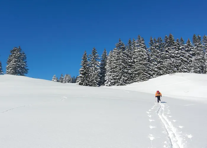 Haus Baumgartner Apartamento *
