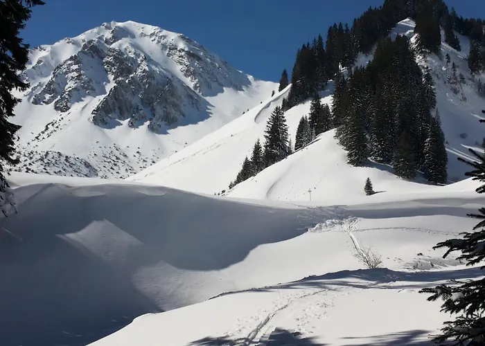 Haus Baumgartner Apartamento *